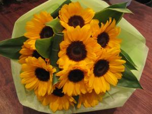 SunFlowersummer)